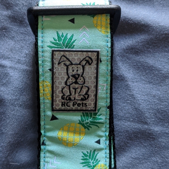 RC Pets Wide Clip Collar - Pineapple - Picture 3 of 4